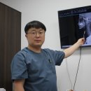 시너지정형외과의원 이미지