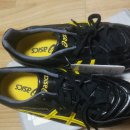 Asics Lethal Stats Cleats 250 싸게 팝니다 ㅠ 이미지