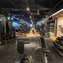 캐리스타 휘트니스(CALISTA FITNESS) 네이버블로그