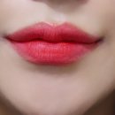 스테이 드레곤 이미지
