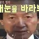 O&YOUNG Daum카페