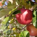 양지아래농원