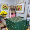 GH자연건강 이미지