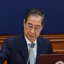 태경미트 이미지