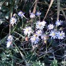 송원동로 이미지