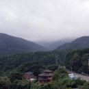 청뫼향 이미지