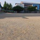 봉선초등학교 운동장 이미지