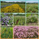 송가인공원 이미지