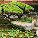 [부산 식물원] 금강식물원