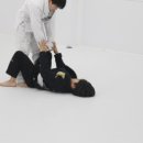 팀루츠 이미지
