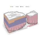 PT Master J 이미지