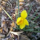 양지꽃펜션 이미지