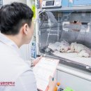 로고유 이미지
