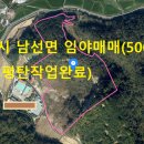 안동시 남선면 개발가능한 임야매매 - 18000평(5000평이상평탄작업,도로접,건축가능) 이미지