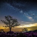 황매산국민여가캠핑장 이미지