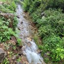 상왕농장 이미지