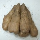 아이비스안경원 이미지