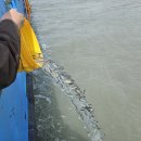 신안낚시터 이미지