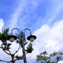 힐스포레 이미지