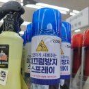 다파네 티스토리