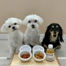 위닝푸드 | 위닝푸드 강아지 화식 간편 급여 펫푸드 추천