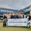 성진청과