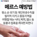 예스아카데미