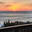 영덕바닷가솔밭펜션 이미지