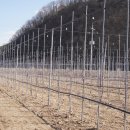 성공농장 이미지