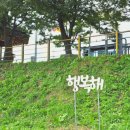 청미천 축구장 이미지