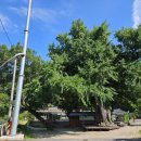 야사1교 이미지