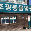 조광동물병원