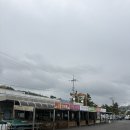 득량수산 | 보성회천수산물 위판장 다녀온 후기, 1층에서 회 뜨고 2층 초장집에서 먹고 온 이야기