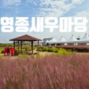 초록마을 영종 하늘도시점 | 분위기좋은 영종도 새우구이 맛집 영종새우마당 후기