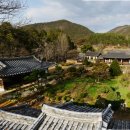 충효로(길안면) 이미지