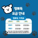 멍뽀득 이미지