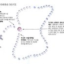 하느님의 자비하심 5단기도 이미지