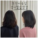 [춘천 미용실] 샵이엘 삼천점 시세이도 서브리믹 클리닉 & 레이어드 컷 대만족 후기!