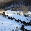 추구농장 이미지