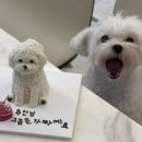 남부유통 | 전주여행 꼭 먹어야 하는 간식 가마솥 닭강정맛집 전주 남부시장 한국닭집