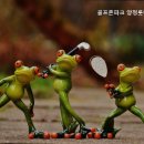 골프존파크 부산24 이미지