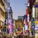 ACE컨설팅&행정사사무소 이미지