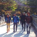 소백산자락길 이미지