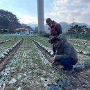 정읍시 농업기술센터 이미지