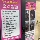 아리까리 | [일산] 효소 편백원 고양시 면역력 관리 찜질방 내돈내산! 후기