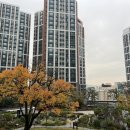 용현동아아파트(저층) | 서울 11억대 아파트를 찾아서 (엑셀 정리 파일 공유)