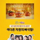 맥 태권도장 이미지