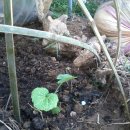 이상만농장 이미지