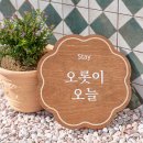 오롯이오늘 이미지