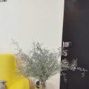 대도파트너스